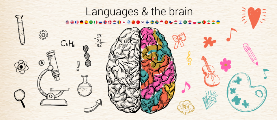 The Surprising Brain Benefits of Learning a Foreign Language